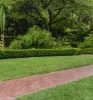 Thumbnail of 